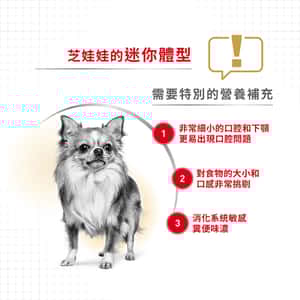 Royal Canin 狗糧 法國皇家狗糧 純種系列 芝娃娃成犬專屬配方 芝娃娃成犬糧 CHH28 3kg (2551100) (圖片4)