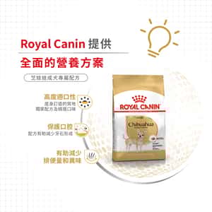 Royal Canin 狗糧 法國皇家狗糧 純種系列 芝娃娃成犬專屬配方 芝娃娃成犬糧 CHH28 3kg (2551100) (圖片5)