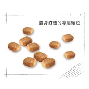 Royal Canin 狗糧 法國皇家狗糧 純種系列 芝娃娃成犬專屬配方 芝娃娃成犬糧 CHH28 3kg (2551100) (圖片6)