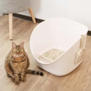 汪喵星球 DogCatStar 專利小白鯨砂盆 奶茶杏 (49.5*41.5*35cm) (GC886) (圖片4)