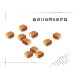 Royal Canin 狗糧 法國皇家狗糧 純種系列臘腸成犬糧 DS28 1.5kg (2551600) (圖片6)