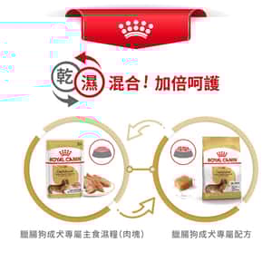 Royal Canin 狗糧 法國皇家狗糧 純種系列臘腸成犬糧 DS28 1.5kg (2551600) (圖片7)