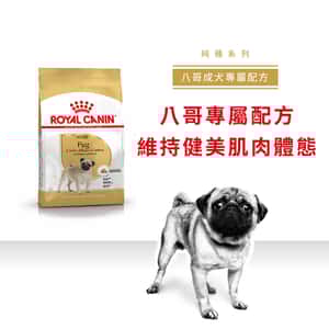 Royal Canin 狗糧 法國皇家狗糧 純種系列 八哥成犬專屬配方 PUG 3kg (2557300) (圖片3)