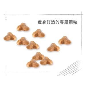 Royal Canin 狗糧 法國皇家狗糧 純種系列 八哥成犬專屬配方 PUG 3kg (2557300) (圖片6)