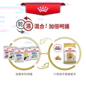 Royal Canin 狗糧 法國皇家狗糧 純種系列 八哥成犬專屬配方 PUG 3kg (2557300) (圖片7)