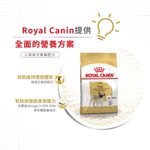 Royal Canin 狗糧 法國皇家狗糧 純種系列 八哥成犬專屬配方 PUG 1.5kg (2557000) (圖片5)