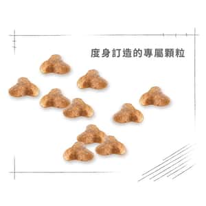 Royal Canin 狗糧 法國皇家狗糧 純種系列 八哥成犬專屬配方 PUG 1.5kg (2557000) (圖片6)