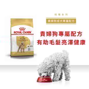 Royal Canin 狗糧 法國皇家狗糧 純種系列 貴婦狗成犬專屬配方 貴婦犬糧 PD30 7.5kg (3057075010) (圖片3)