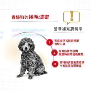 Royal Canin 狗糧 法國皇家狗糧 純種系列 貴婦狗成犬專屬配方 貴婦犬糧 PD30 7.5kg (3057075010) (圖片4)