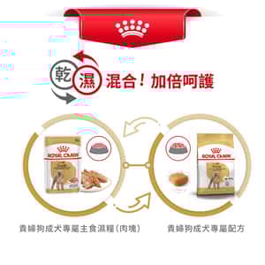 Royal Canin 狗糧 法國皇家狗糧 純種系列 貴婦狗成犬專屬配方 貴婦犬糧 PD30 1.5kg (3057015010) (圖片7)