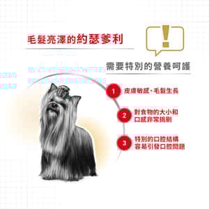 Royal Canin 狗糧 法國皇家狗糧 純種系列 約瑟爹利成犬專屬配方 約瑟爹利成犬糧 PRY28 3kg (2860800) (圖片4)