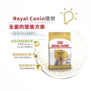 Royal Canin 狗糧 法國皇家狗糧 純種系列 約瑟爹利成犬專屬配方 約瑟爹利成犬糧 PRY28 3kg (2860800) (圖片5)