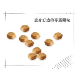 Royal Canin 狗糧 法國皇家狗糧 純種系列 約瑟爹利成犬專屬配方 約瑟爹利成犬糧 PRY28 3kg (2860800) (圖片6)