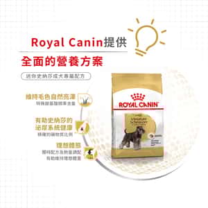 Royal Canin 狗糧 法國皇家狗糧 純種系列 迷你史納莎成犬專屬配方 史納莎成犬糧 SCH 7.5kg (2558000) (圖片5)