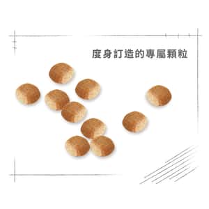 Royal Canin 狗糧 法國皇家狗糧 純種系列 迷你史納莎成犬專屬配方 史納莎成犬糧 SCH 3kg (2557900) (圖片6)