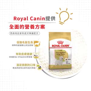 Royal Canin 狗糧 法國皇家狗糧 純種系列 西高地白爹利成犬專屬配方 西高地白爹利成犬糧 WH21 1.5kg (2559300) (圖片5)