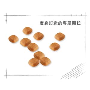 Royal Canin 狗糧 法國皇家狗糧 純種系列 西高地白爹利成犬專屬配方 西高地白爹利成犬糧 WH21 1.5kg (2559300) (圖片6)