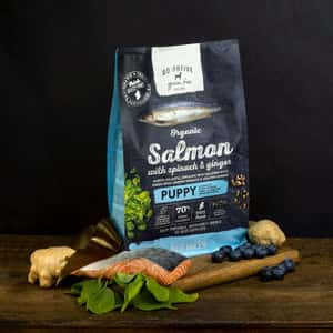 Go Native 愛爾蘭冠軍 頂級無穀物單一蛋白低敏狗糧 幼犬三文魚 4kg 中小型犬用 (圖片3)