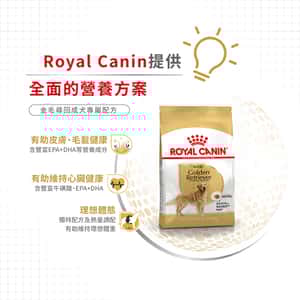 Royal Canin 狗糧 法國皇家狗糧 純種系列 金毛尋回成犬專屬配方 金毛尋回成犬糧 GOD 12kg (2553700) (圖片5)