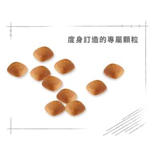 Royal Canin 狗糧 法國皇家狗糧 純種系列 金毛尋回成犬專屬配方 金毛尋回成犬糧 GOD 12kg (2553700) (圖片6)