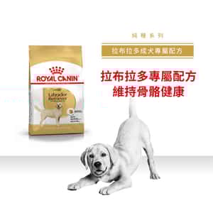 Royal Canin 狗糧 法國皇家狗糧 純種系列 拉布拉多成犬專屬配方 拉布拉多成犬糧 LBD30 12kg (2555400) (圖片3)