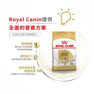 Royal Canin 狗糧 法國皇家狗糧 純種系列 拉布拉多成犬專屬配方 拉布拉多成犬糧 LBD30 12kg (2555400) (圖片5)