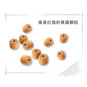 Royal Canin 狗糧 法國皇家狗糧 純種系列 拉布拉多成犬專屬配方 拉布拉多成犬糧 LBD30 12kg (2555400) (圖片6)