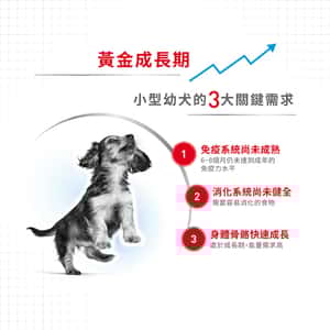 Royal Canin 狗糧 法國皇家狗糧 健康營養系列 小型幼犬營養配方 小型幼犬糧 APR33 8kg (3000080011) (圖片6)