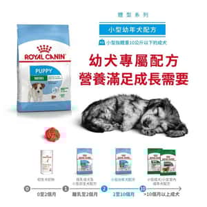 Royal Canin 狗糧 法國皇家狗糧 健康營養系列 小型幼犬營養配方 小型幼犬糧 APR33 8kg (3000080011) (圖片3)