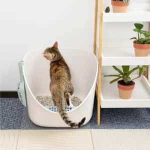 汪喵星球 DogCatStar 專利小白鯨砂盆 湖水藍 (49.5*41.5*35cm) (GC888) (圖片4)