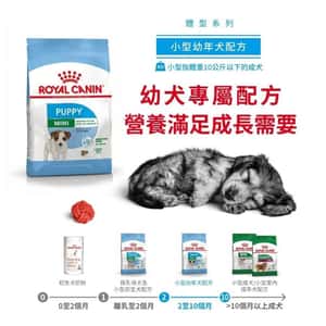 Royal Canin 狗糧 法國皇家狗糧 健康營養系列 小型幼犬營養配方 小型幼犬糧 APR33 4kg (3000040011) (圖片3)