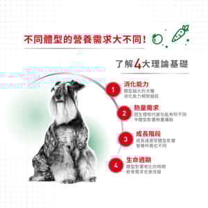 Royal Canin 狗糧 法國皇家狗糧 健康營養系列 小型成犬營養配方 小型成犬糧 PR27 4kg (圖片4)