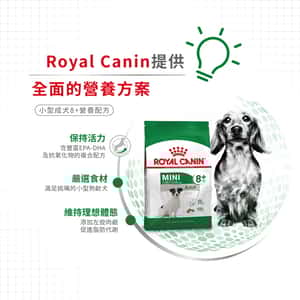 Royal Canin 狗糧 法國皇家狗糧 健康營養系列 小型成犬8+營養配方 小型老犬糧 8+ SPR27 8kg (圖片6)
