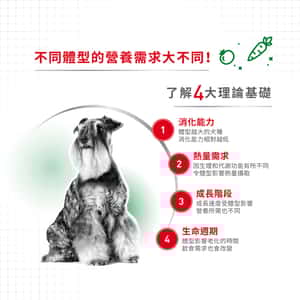 Royal Canin 狗糧 法國皇家狗糧 健康營養系列 小型成犬8+營養配方 小型老犬糧 8+ SPR27 2kg (圖片4)