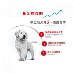 Royal Canin 法國皇家 狗糧 Royal Canin 狗糧 法國皇家狗糧 健康營養系列 中型幼犬營養配方 中型幼犬糧 AM32 4kg (3003040011)