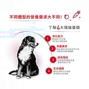 Royal Canin 狗糧 法國皇家狗糧 中型成犬營養配方 M25 15kg (圖片3)