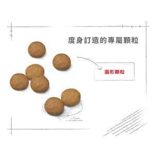 Royal Canin 狗糧 法國皇家狗糧 中型成犬營養配方 M25 4kg (圖片6)