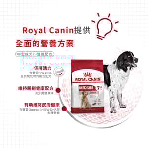 Royal Canin 狗糧 法國皇家狗糧 健康營養系列 中型成犬7+營養配方 中型老犬糧 SM25 7+ 15kg (圖片4)