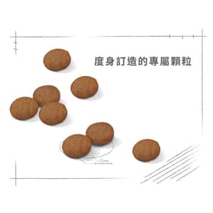 Royal Canin 狗糧 法國皇家狗糧 健康營養系列 中型成犬7+營養配方 中型老犬糧 SM25 7+ 15kg (圖片5)