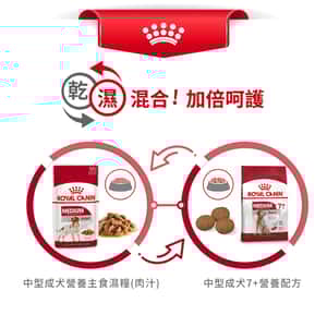 Royal Canin 狗糧 法國皇家狗糧 健康營養系列 中型成犬7+營養配方 中型老犬糧 SM25 7+ 15kg (圖片6)