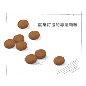 Royal Canin 狗糧 法國皇家狗糧 健康營養系列 中型成犬7+營養配方 中型老犬糧 SM25 7+ 4kg (圖片5)