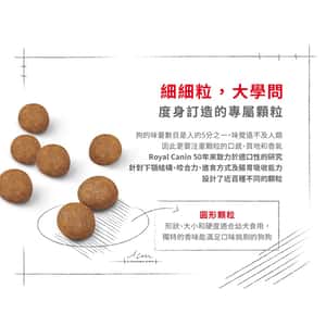Royal Canin 狗糧 法國皇家狗糧 健康營養系列 大型幼犬營養配方 大型幼犬糧 AGR32 15kg (3006150011) (圖片8)