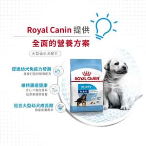 Royal Canin 狗糧 法國皇家狗糧 健康營養系列 大型幼犬營養配方 大型幼犬糧 AGR32 15kg (3006150011) (圖片3)
