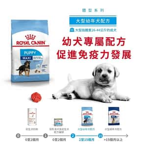 Royal Canin 狗糧 法國皇家狗糧 健康營養系列 大型幼犬營養配方 大型幼犬糧 AGR32 4kg (3006040011) (圖片4)