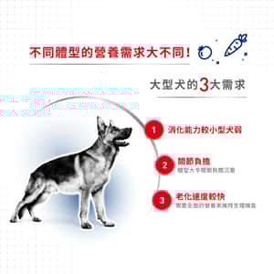 Royal Canin 狗糧 法國皇家狗糧 大型成犬營養配方 GR26 15kg (圖片4)