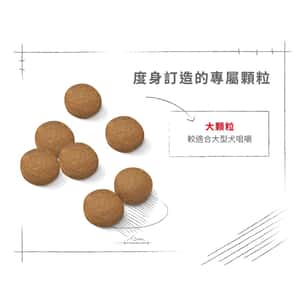 Royal Canin 狗糧 法國皇家狗糧 大型成犬營養配方 GR26 15kg (圖片6)