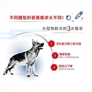 Royal Canin 狗糧 法國皇家狗糧 大型成犬5+營養配方 MAXI Adult 5+ 15kg (圖片5)