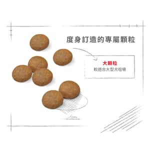 Royal Canin 狗糧 法國皇家狗糧 大型成犬5+營養配方 MAXI Adult 5+ 15kg (圖片7)