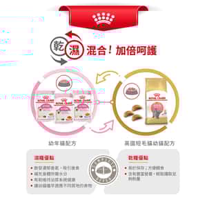 Royal Canin 貓糧 法國皇家貓糧 純種系列 英國短毛幼貓專屬配方 KBSH38 10kg (2520100) (圖片6)