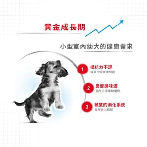 Royal Canin 法國皇家 狗糧 Royal Canin 狗糧 法國皇家狗糧 室內小型幼犬營養配方 ILJ 3kg (2433030011)